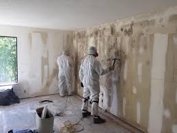 Best Comprehensive Air Testing for Mold Contaminants in Kingsley, IA